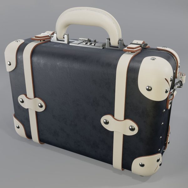 Steamline Anthropologist Navy Vanity