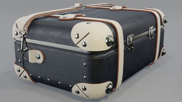 Steamline Anthropologist Navy Vanity