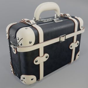 Steamline Anthropologist Navy Vanity