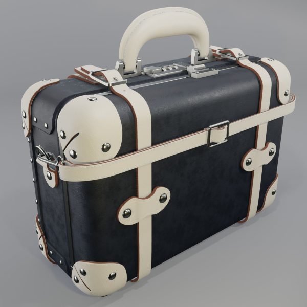 Steamline Anthropologist Navy Vanity