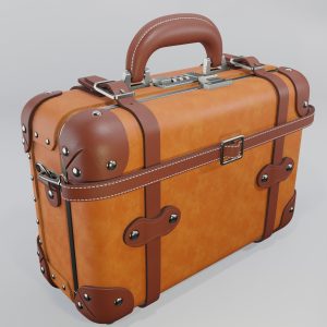 Steamline Anthropologist Navy Vanity Orang