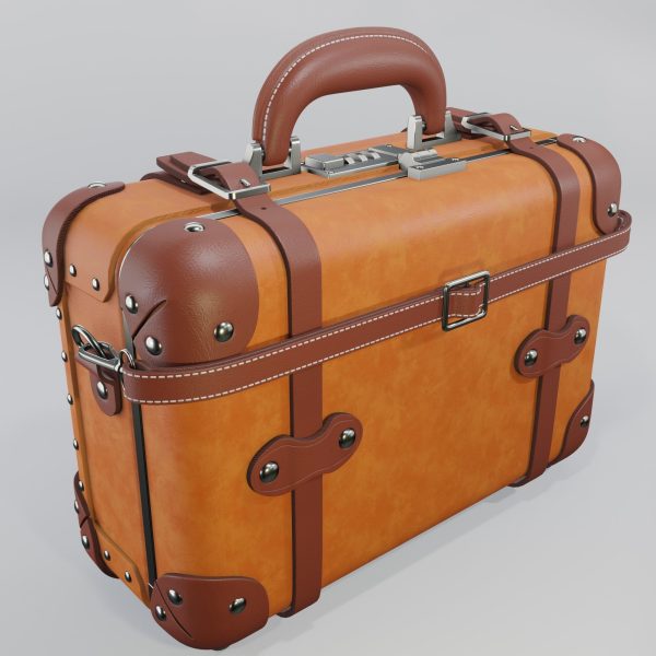 Steamline Anthropologist Navy Vanity Orang