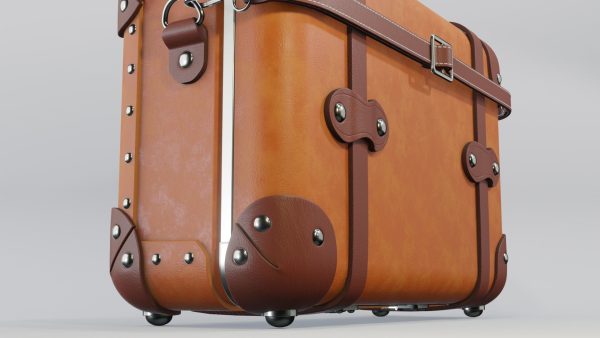 Steamline Anthropologist Navy Vanity Orang