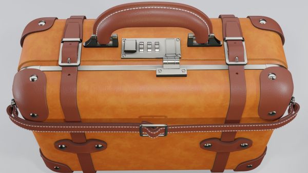 Steamline Anthropologist Navy Vanity Orang