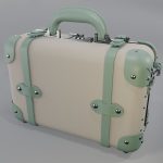Steamline Editor Sea Vanity Green