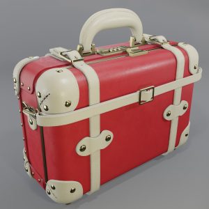 Steamline Entrepreneur Lip Print Overnighter