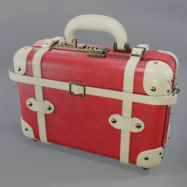 Steamline Entrepreneur Lip Print Overnighter