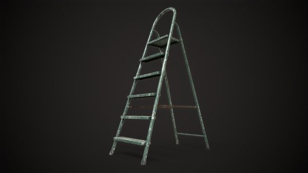 Stepladder ladder