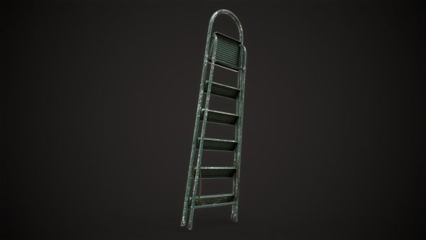 Stepladder ladder
