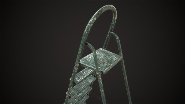 Stepladder ladder