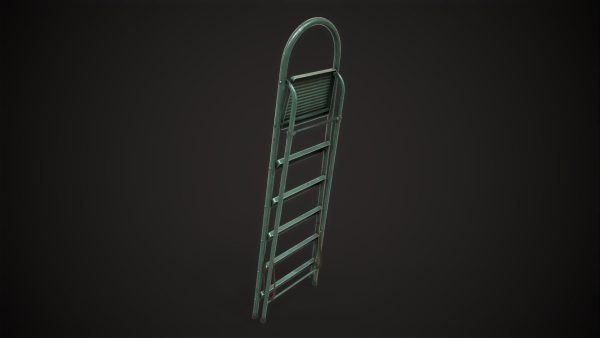 Stepladder ladder
