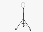 Studio Lighting Collection