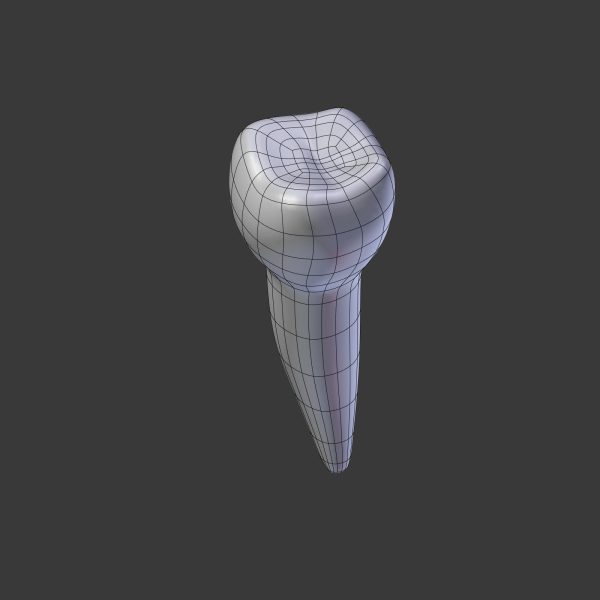 Tooth Implant - premolar