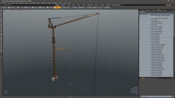Tower Crane with Concrete Bucket
