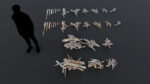 Trash Kit - 3D AssetKit