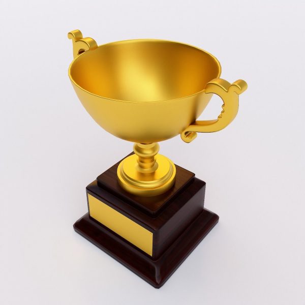 Trophy award 3dmodel
