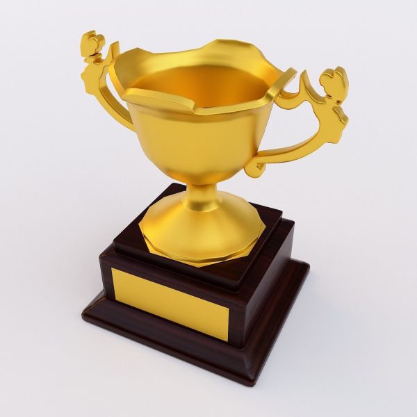 Trophy award 3dmodel