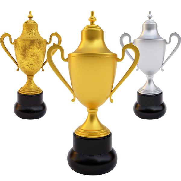 Trophy award 3dmodel