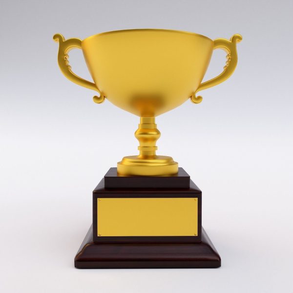 Trophy award 3dmodel