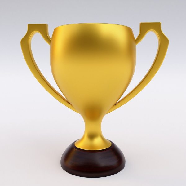 Trophy award cup 3dmodel