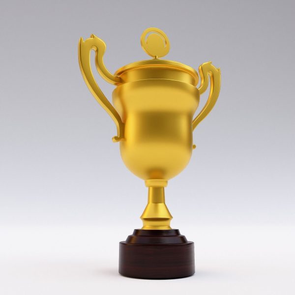 Trophy award cup 3dmodel