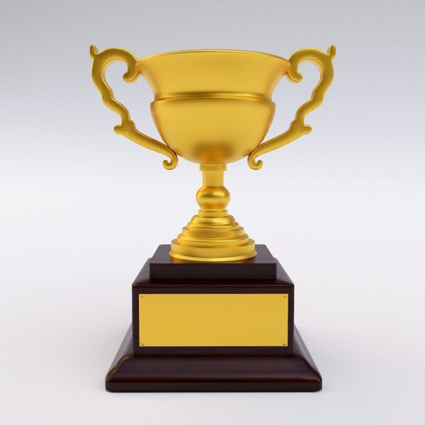 Trophy cup award 3dmodel