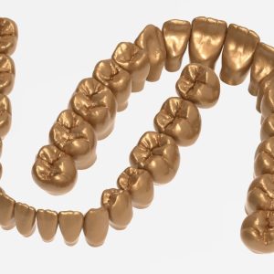 upper-and-lower-jaw-teeth-anatomy-3d-model-stl