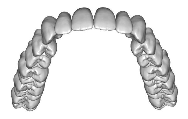 Upper and lower jaw teeth anatomy