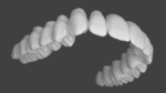 Upper jaw teeth anatomy
