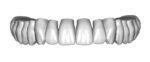 Upper jaw teeth anatomy