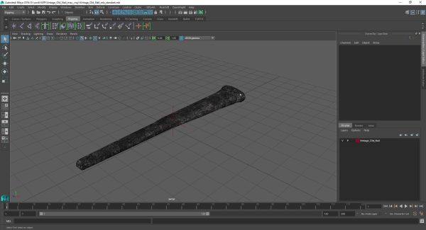 Vintage Old Nail