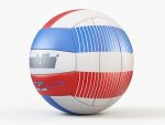 Volleyball Ball PBR