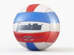 Volleyball Ball PBR