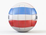 Volleyball Ball PBR