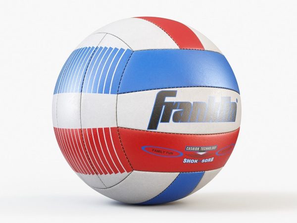 Volleyball Ball PBR