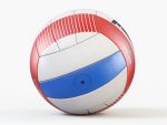 Volleyball Ball PBR