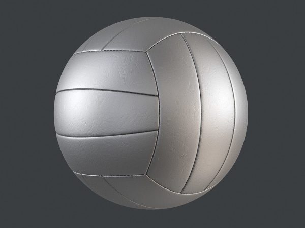 Volleyball Ball PBR