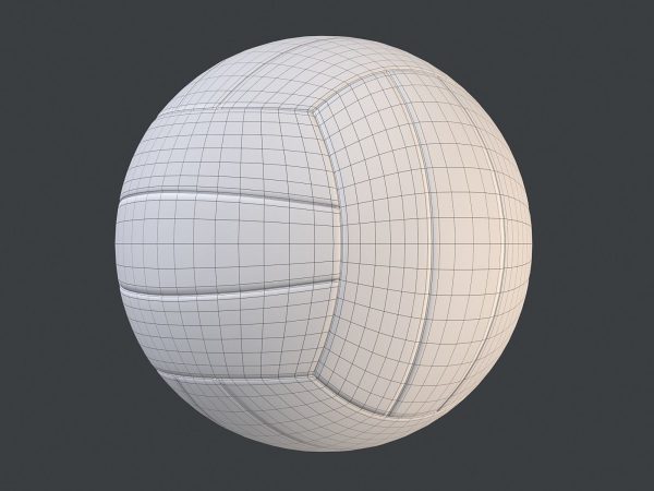 Volleyball Ball PBR