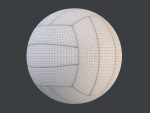 Volleyball Ball PBR