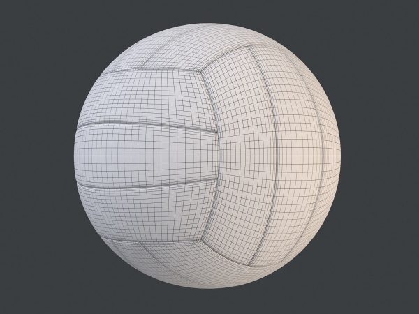Volleyball Ball PBR