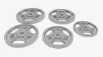 Weight plate set 05