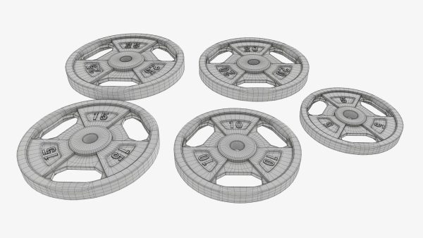 Weight plate set 05