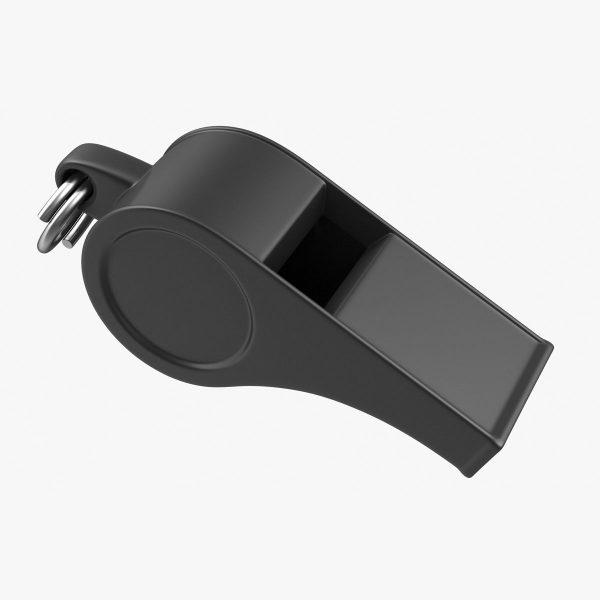 Whistle