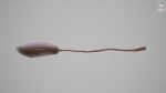 Witches Magic Broom for Flying Game Ready