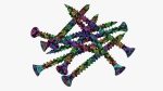 Wood metal screws 02