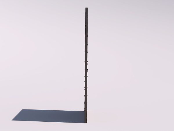 Wooden door 1