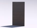Wooden door 1