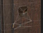 Wooden door 2