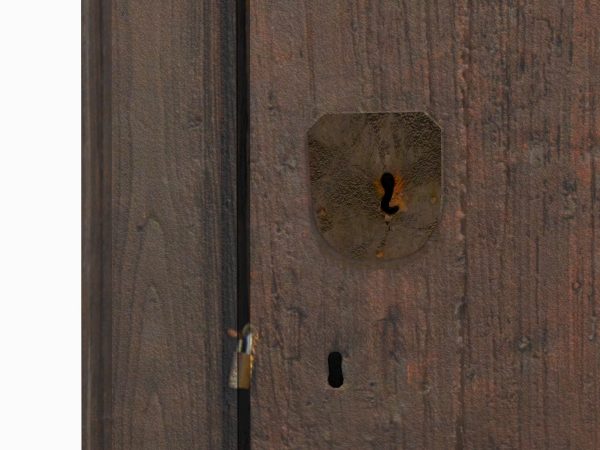 Wooden door 2