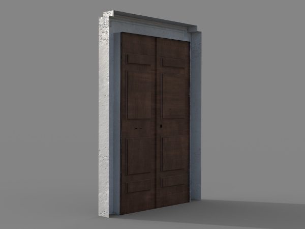 Wooden door 5